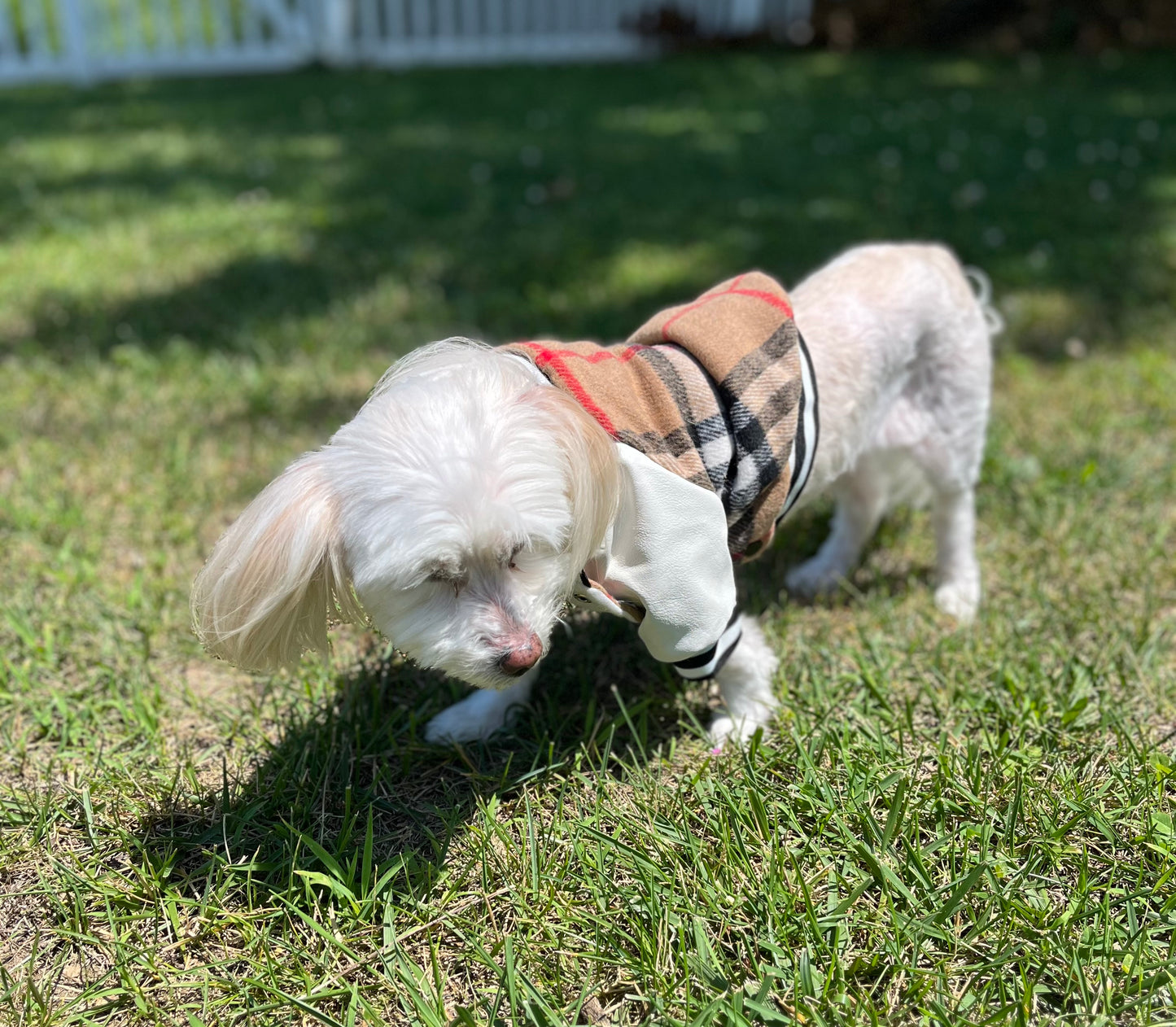 Mini Vogue™ Pet Coat – Classic Brown