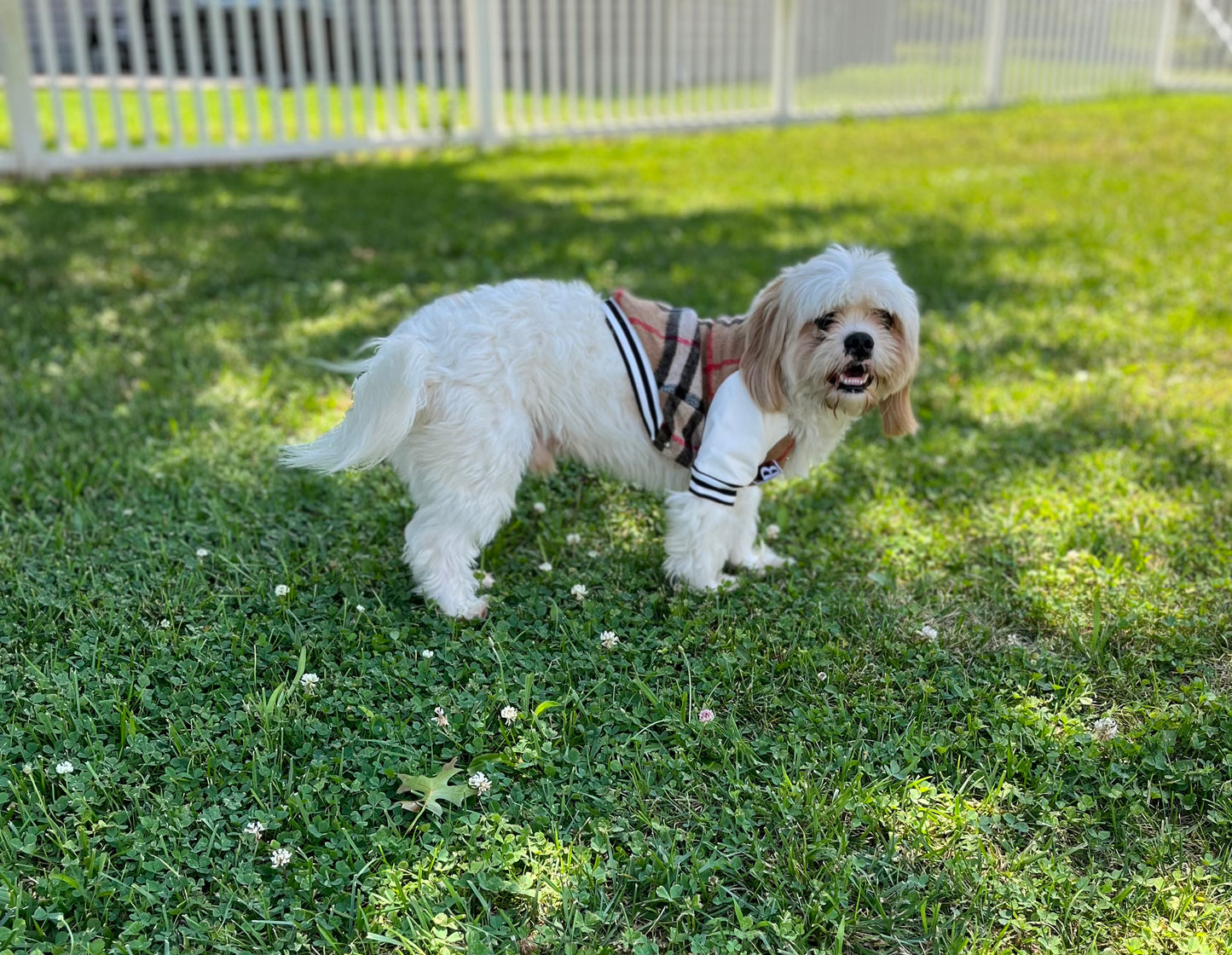 Mini Vogue™ Pet Coat – Classic Brown
