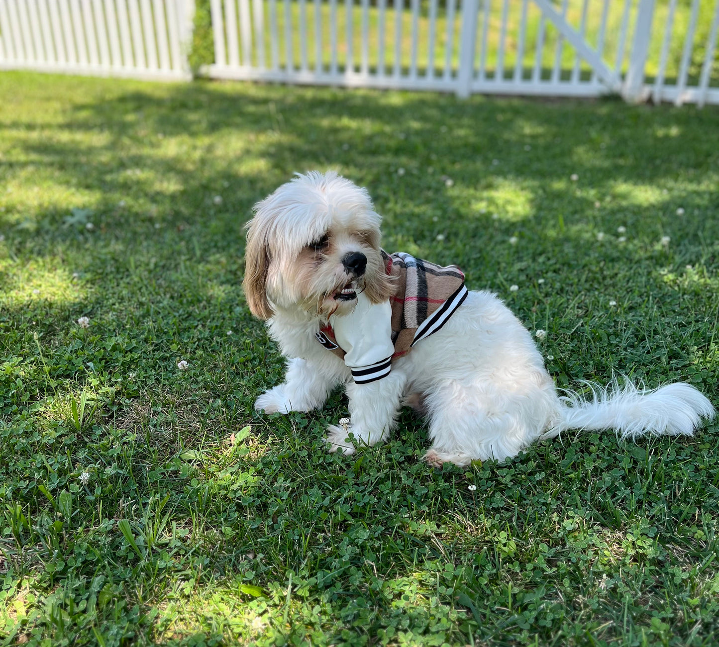 Mini Vogue™ Pet Coat – Classic Brown