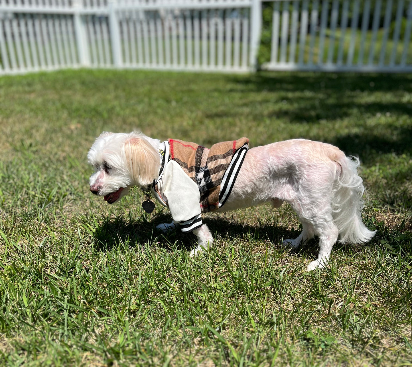 Mini Vogue™ Pet Coat – Classic Brown